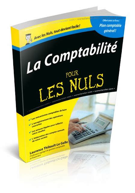 Full Download Livre Comptabilite Pour Les Nuls 