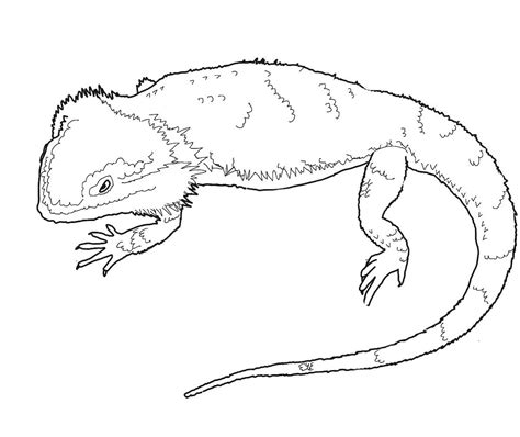 Lizard Bearded Dragon Coloring Page Bearded Dragon Lizard Coloring Pages - Bearded Dragon Lizard Coloring Pages