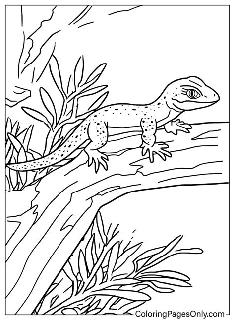lizard coloring page