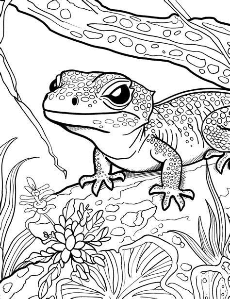 lizard coloring pages