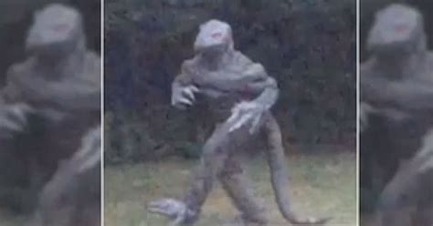 Lizard Man Sc