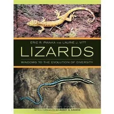 Lizards Windows To The Evolution Of Diversity