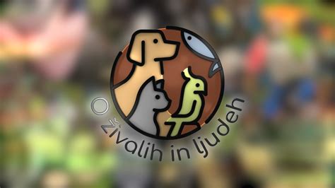 campobet: Aposte nas Melhores Apostas Desportivas Online e Fique Tranquilo com a Proteção de Fundos - Foto 2