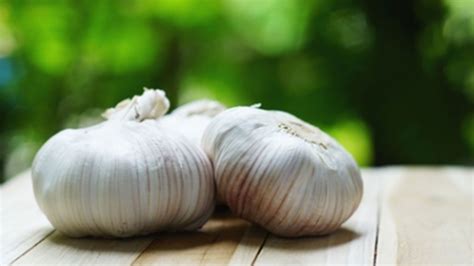 lk duyduğunuzda size tuhaf gelebilir ancak sarımsağın doğal antibiyotik etkisi, soğanın öksürük, soğuk algınlığı, ateş ve boğaz ağrısını iyileştirici gücü doğal süt ile birleşince muhteşem bir karışım oluyor.