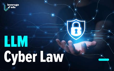Read Llm Cyberlaw Information Technology Law And Society 