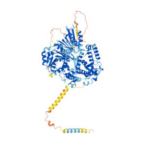 lnc-DHX40-1 Gene - GeneCards lnc-DHX40-1 RNA Gene