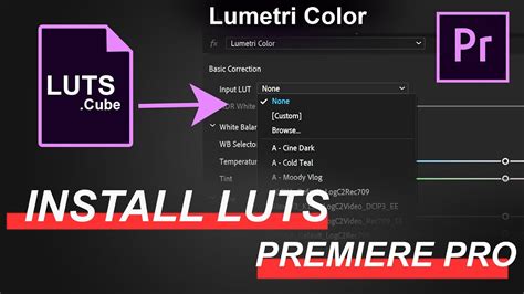 load Adobe Premiere Pro linkss