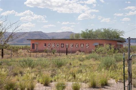 lobo texas