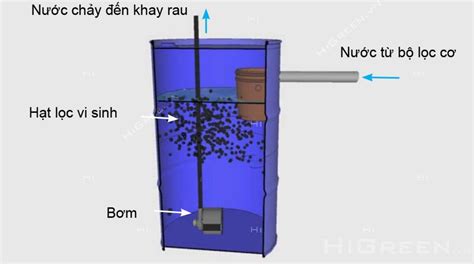 loc vi sinh biography