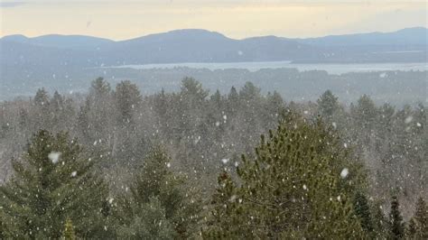 Location For Snow Falling On Cedars