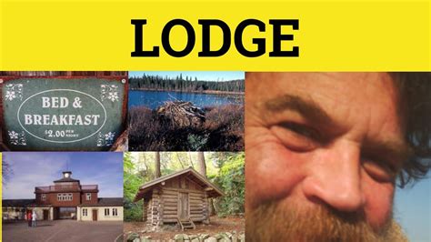 lodge meaning