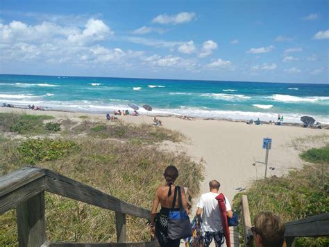 loggerhead park florida
