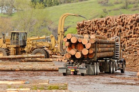 loggersbackgroundloaderlogstruck Loggers Broad Form