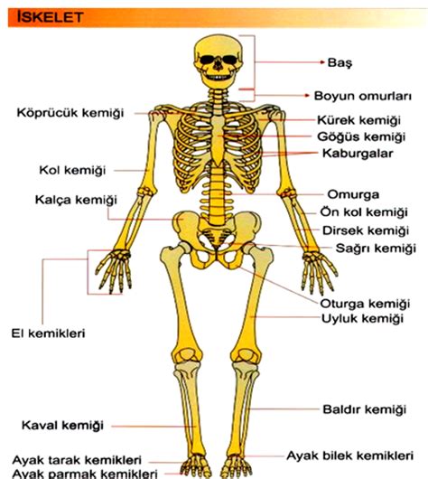 LOGIKA4D RESMI AGEN 4D TERPECAYA RESMI BISA TOP UP VIA