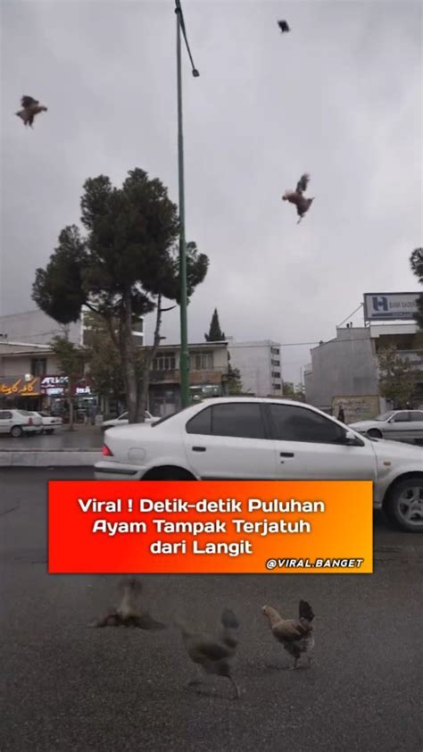 Cobalah LOGIKA4D VIRALBANGET dan rasakan perbedaan teknologi 4D
