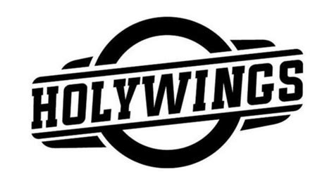 LOGO HOLYWINGS：Discover More With Bobobox - Bobopod, BobocabinBoboliving