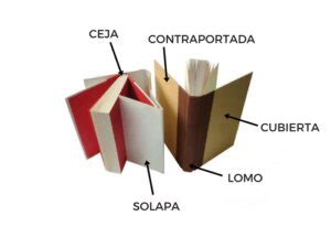 Lomo De Un Libro