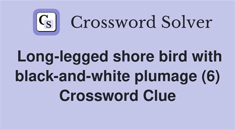 long legged coastal bird Crossword Clue Wordplays.com