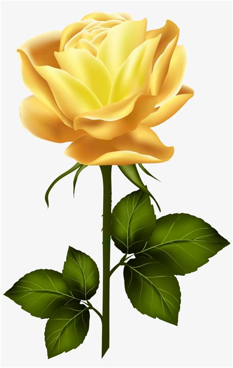 long stem yellow rose clipart - Clipground