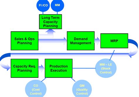 long term planning in sap pp pdf