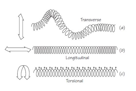 Longitudinal Y Transversal