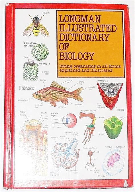 Read Online Longman Illustrated Dictionary Of Biology Lydiab 