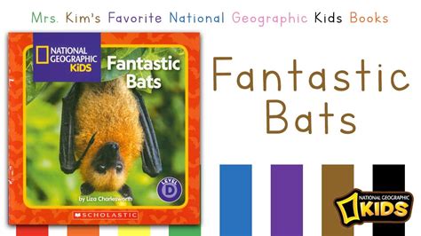Look Here Fantastic Bat Literacy Amp Science Activities Bat Science Activities - Bat Science Activities