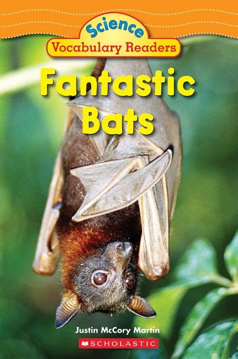 Look Here Fantastic Bat Literacy Science Activities For Bat Activities For 2nd Grade - Bat Activities For 2nd Grade