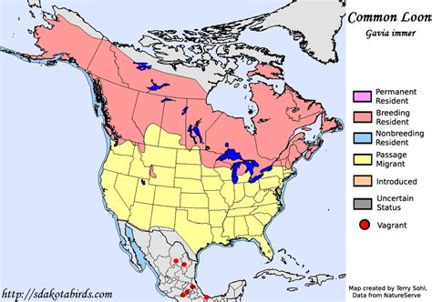 G2E. Illinois. Blue-Cross Blue-Shield of