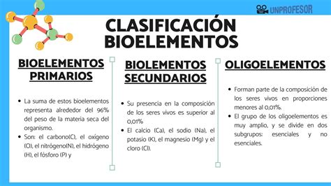 Los Bioelementos