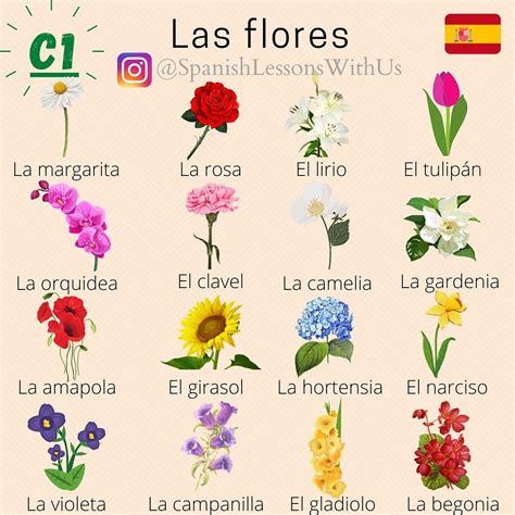 los flores