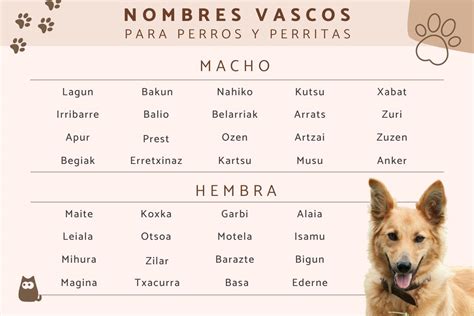 Los mejores nombres de perro en euskera: ¡ideas únicas y significativas!