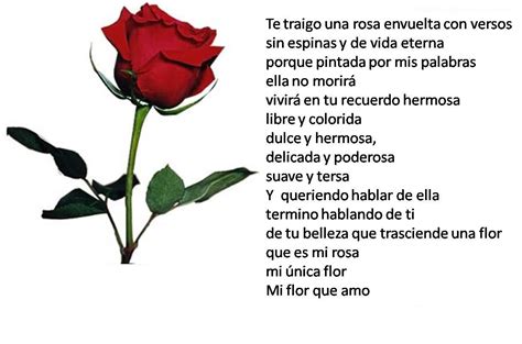 Los poemas más bellos sobre la rosa, la reina de las flores