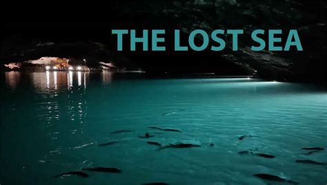 Lost At Sea