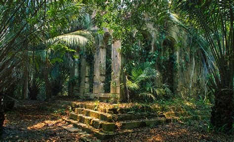 Lost In The Amazon Lost 3 A Battle For Survival In