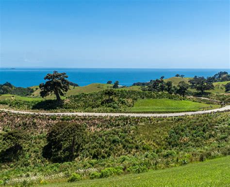 lot-1 - Most Exclusive Residential Sections in Waiheke Island