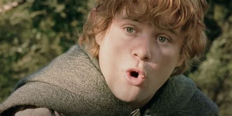 Lotr Samwise Gamgee
