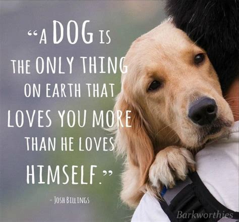 Love Dog Quotes Sayings