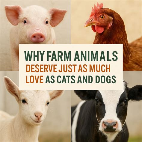 Love For Animals