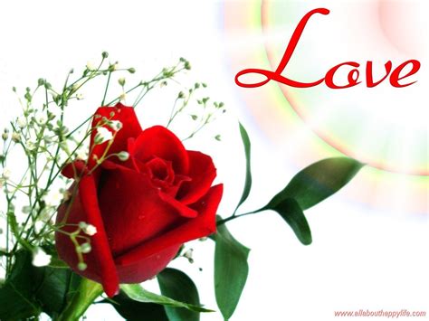 Love That Rose