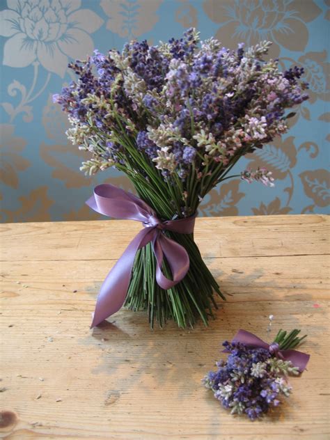 Lovely Lavender Lavender Flowers Lovely Lavender Lavender Fields Lavender Warna - Lavender Warna