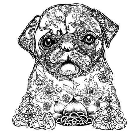 Read Lovely Puppies Coloring Book For Adults 