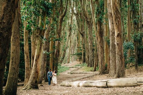Lovers Lane Version 0