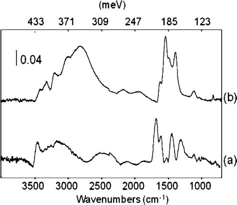Read Online Low Temperature Infrared Study Of Ammonium Carbamate Formation 