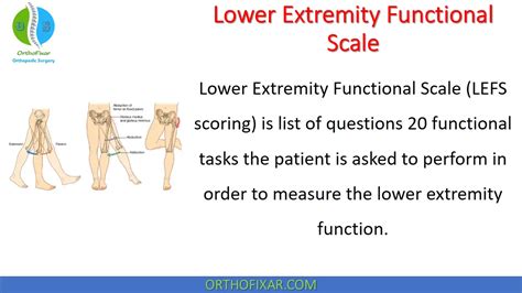 Lower Extremity Functional Scale Lefs Calculator Lefs Scoring Calculator - Lefs Scoring Calculator