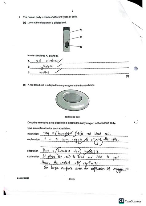 Read Lower Secondary Science Exam Paper 