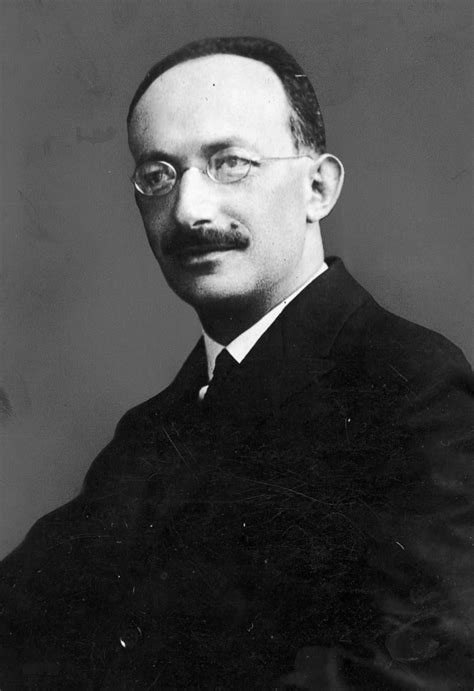 ludwik rajchman biography examples