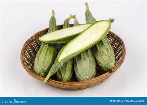 luffa i thailand
