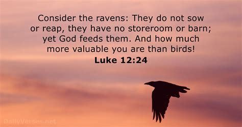 luke 12 24 for you for reading for feeding for le