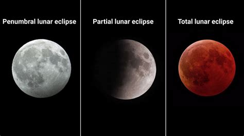 Lunar Surface Means